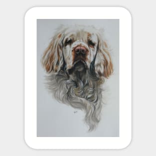 Clumber Spaniel Portrait Sticker